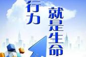 用“执行情况”造句