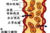 用“柔肠寸断”造句