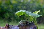 用“避雨”造句