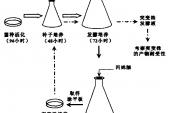 用“定向培育”造句