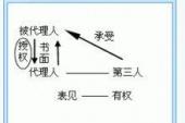 用“表见代理”造句