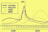 用“黄体素”造句